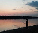 В Астраханской области запретят ловить воблу в апреле