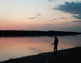 В Астраханской области запретят ловить воблу в апреле
