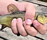 Слинять через астраханскую границу не удалось