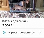 Фото дня: клетка для собаки