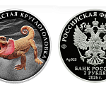 Ящерицу из астраханской пустыни поместили на новой серебряной монете Банка России