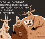 Муниципальная азбука: Т - Толерантность