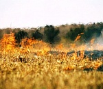 МЧС предупреждает: на севере и юге Астраханской области отмечен высокий класс пожароопасности