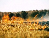 МЧС предупреждает: на севере и юге Астраханской области отмечен высокий класс пожароопасности