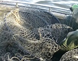 С апреля в Астраханской области у рыболовов-любителей изъяли более 2000 запрещенных орудий лова
