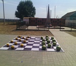 Астраханцы поиграли в дынно-арбузные шашки