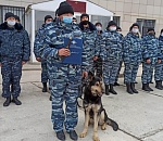 В астраханской полиции проводили на пенсию собаку