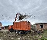 Астрахань ставит пугающие рекорды по производству стихийного мусора