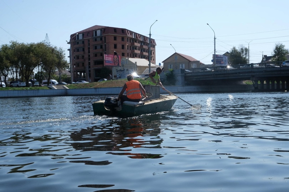 Городские каналы Астрахани преподнесли очередной сюрприз