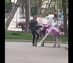 Астраханцы просят наказать подростка, который пинал пони: видео