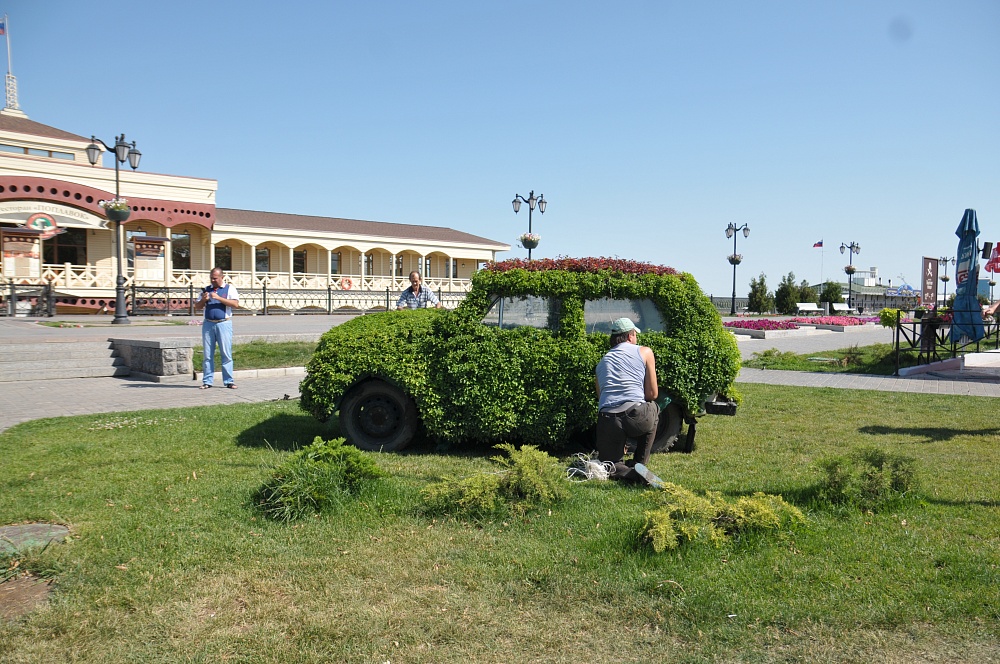 В Астрахани появился автомобиль из живых растений. На очереди – львенок и корабль