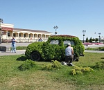 В Астрахани появился автомобиль из живых растений. На очереди – львенок и корабль
