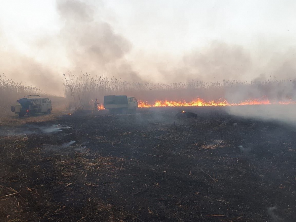 Игорь Бабушкин поручил главам районов предотвращать природные пожары