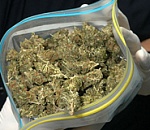 Астраханская полиция задержала сельчанина с полукилограммовым пакетом марихуаны