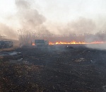 Игорь Бабушкин поручил главам районов предотвращать природные пожары