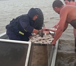 Женщина получила серьёзные переломы во время урагана в Астрахани 