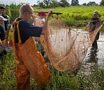Астраханские школьники спасли 39 млн мальков