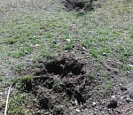 В Астрахани вандалы вырывают цветы, ломают лавочки и урны