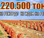 В астраханском минсельхозе дали прогноз на урожай-2023 