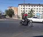 Фото дня: центурион на коне 