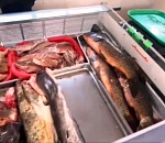 В ходе рейда по торговым точкам Астрахани полиция конфисковала 150 кг рыбы и 400 бутылок алкоголя