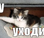 Жители Ахтубинского и Харабалинского районов требуют отставки глав