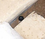 В астраханском селе задержали малолетних наркодилеров