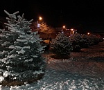 Мороз продолжает лютовать в Астраханской области