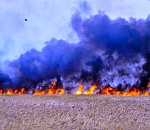 Вечером на севере Астраханской области шло сражение с 1,5-километровым фронтом пожара