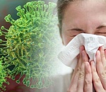 За сутки коронавирусом заболели 50 астраханцев