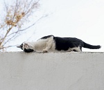 Завтра погода в Астраханской области прыгнет из минуса в плюс