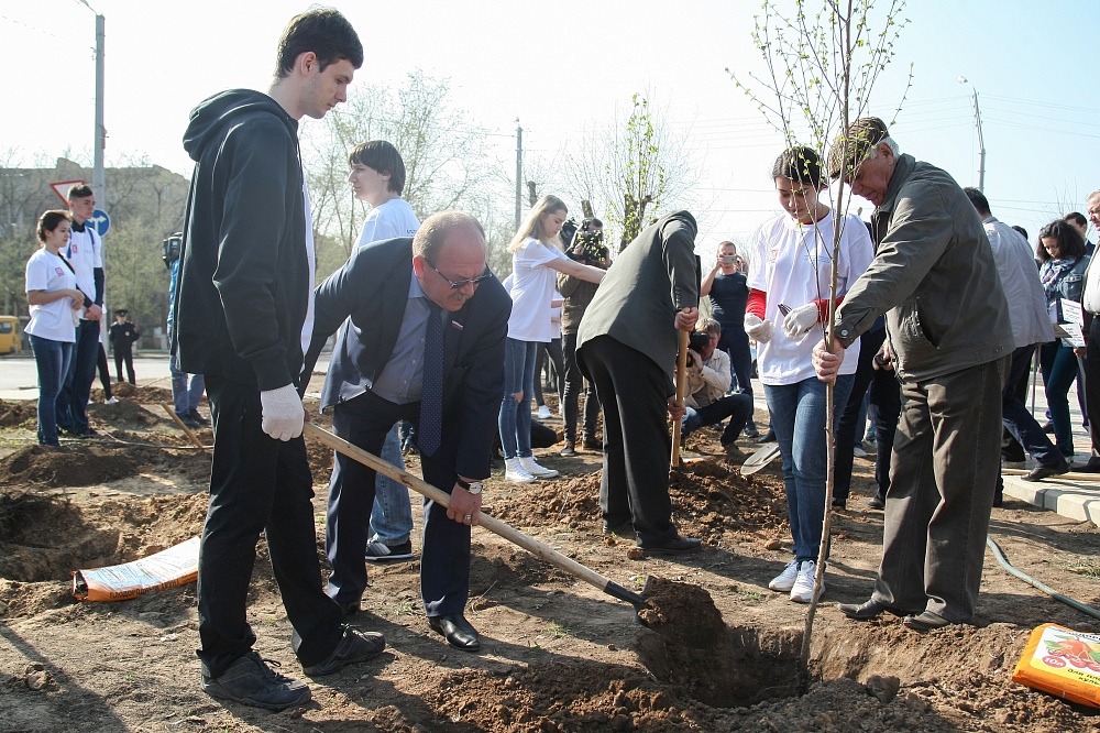 Социальные проекты в действии