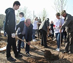 Социальные проекты в действии