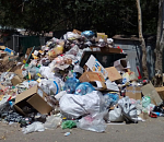 «Опарыши?» – «Да-да, опарыши!»: новый регоператор начинает разгребать мусорные завалы