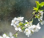 Жара в Астрахани сменяется прохладой