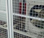 В Астрахани от жары расплавился кондиционер