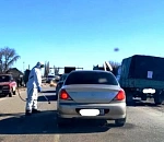 Стало известно, чем заразились коровы в Астраханской области