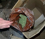 В крольчатнике у астраханца полицейские нашли вовсе не кроликов