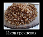 Хей,бабка! Есть гречка, кура, яйки?