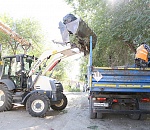 В администрации Астрахани рассказали о самых живучих свалках