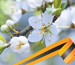 План мероприятий на майские праздники в Астрахани