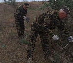 Хитрые приманки для диких животных разбрасывают в астраханских охотничьих угодьях