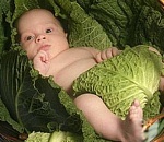 Астраханская область - в числе неблагоприятных для рождения детей регионов