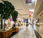 Рыбак из Брянска обманул троих продавцов в Астрахани, чтобы вернуться домой