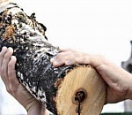 Убийце пастуха в Ахтубинске дали 8,5 лет тюрьмы