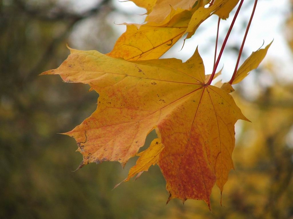 Астраханская погода в октябре