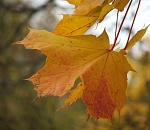 Астраханская погода в октябре