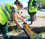 Миллион, миллион всех цветов: Александр Жилкин посмотрел, как сажают цветочки