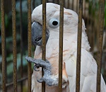 Астраханский зимний тропический киносад «Октябрь» откроется через два года