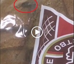 Астраханцам в хлебе попалась живая муха. Продавщица не растерялась